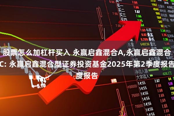 股票怎么加杠杆买入 永赢启鑫混合A,永赢启鑫混合C: 永赢启鑫混合型证券投资基金2025年第2季度报告